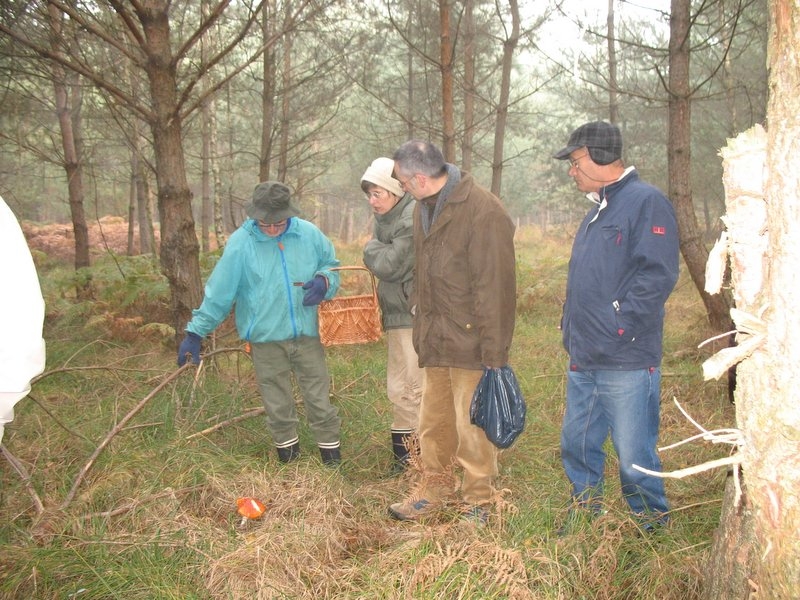 2006 11 Mycobocquet 05